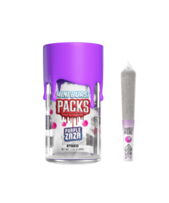 Mini Bursts | Purple Zaza | Infused | 5pk